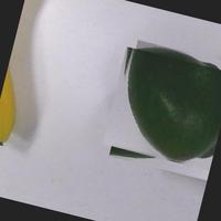 Dataset Image
