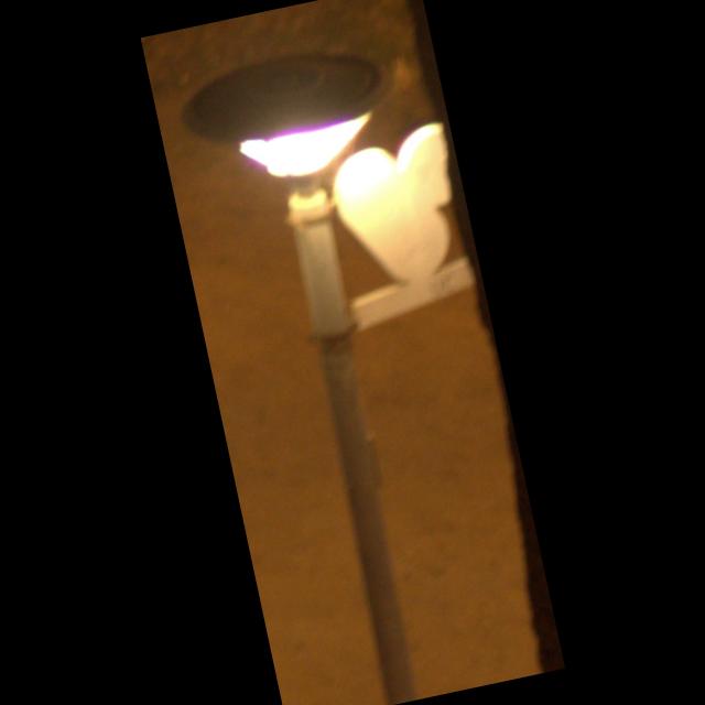Dataset Image