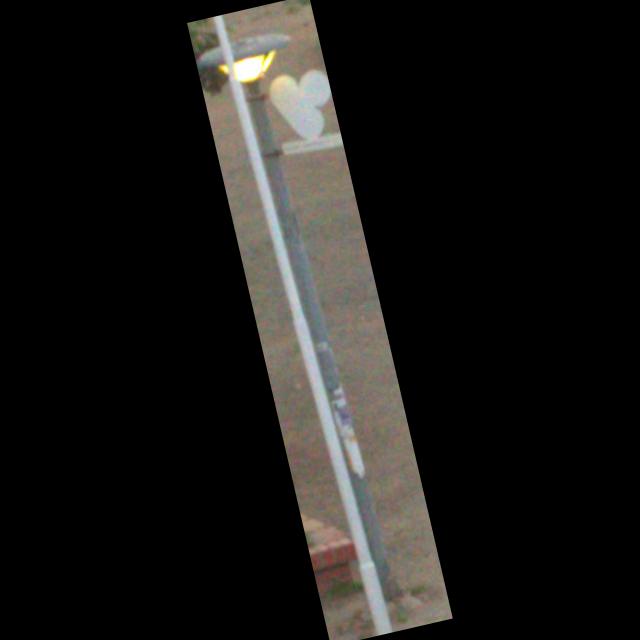 Dataset Image