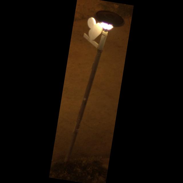 Dataset Image