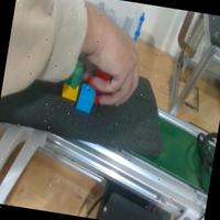 Dataset Image