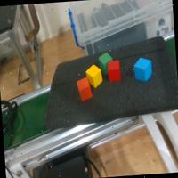 Dataset Image