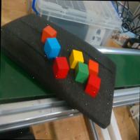 Dataset Image