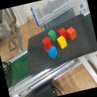 Dataset Image