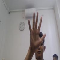 Dataset Image