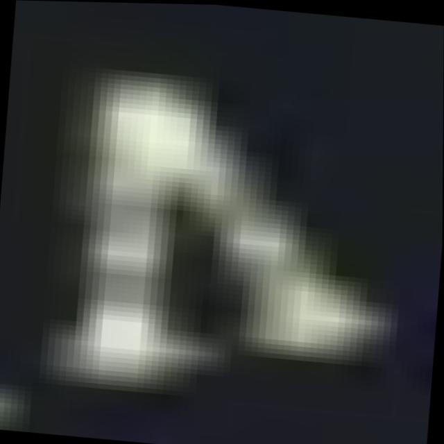 Dataset Image