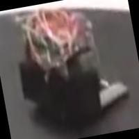 Dataset Image