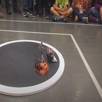 Dataset Image