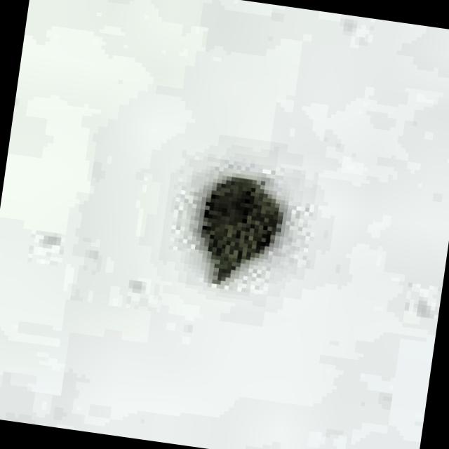 Dataset Image