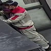 Dataset Image