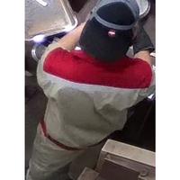 Dataset Image