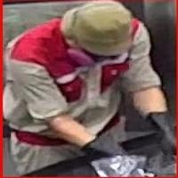 Dataset Image