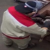 Dataset Image