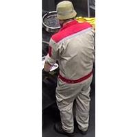 Dataset Image
