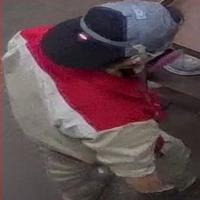 Dataset Image