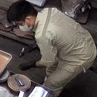 Dataset Image