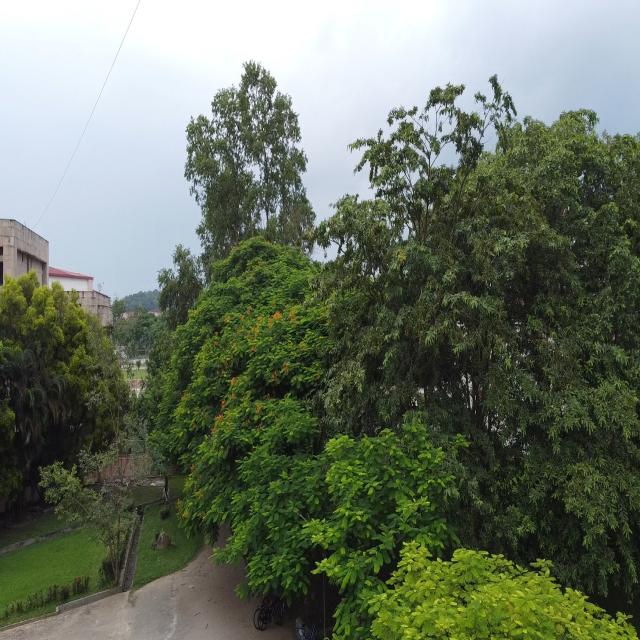 Dataset Image