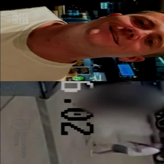 Dataset Image