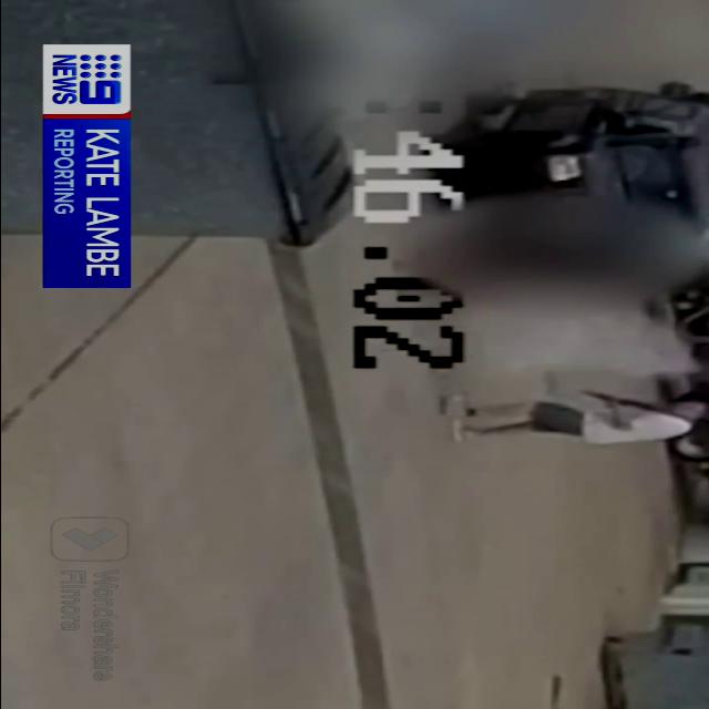 Dataset Image
