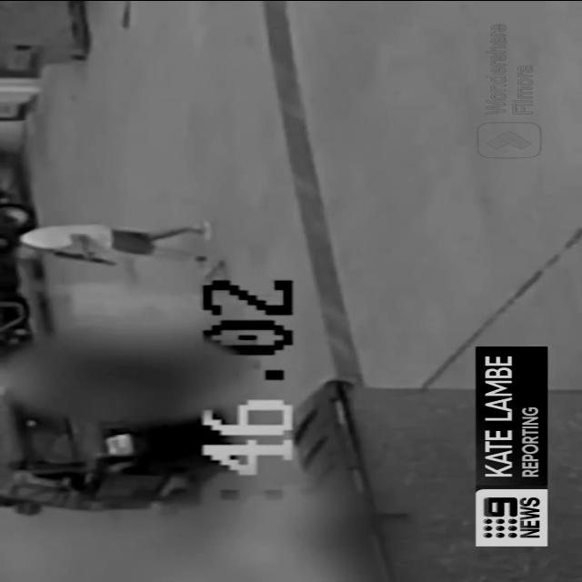 Dataset Image
