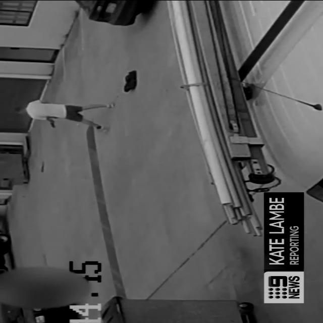 Dataset Image