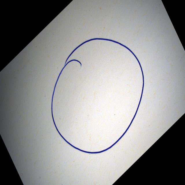 Dataset Image