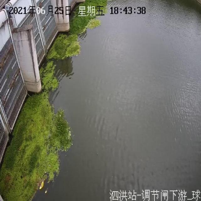 Dataset Image