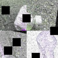 Dataset Image