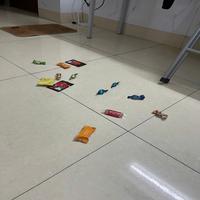 Dataset Image