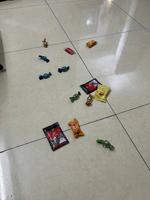 Dataset Image