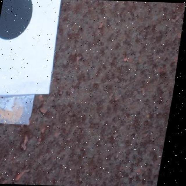 Dataset Image