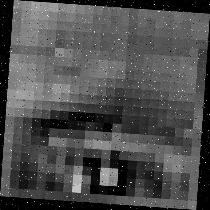 Dataset Image