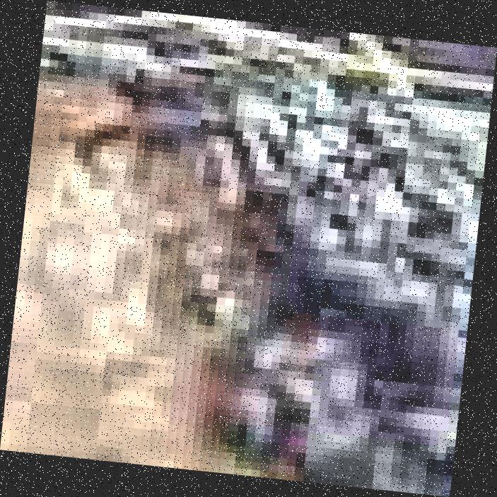 Dataset Image