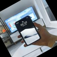 Dataset Image
