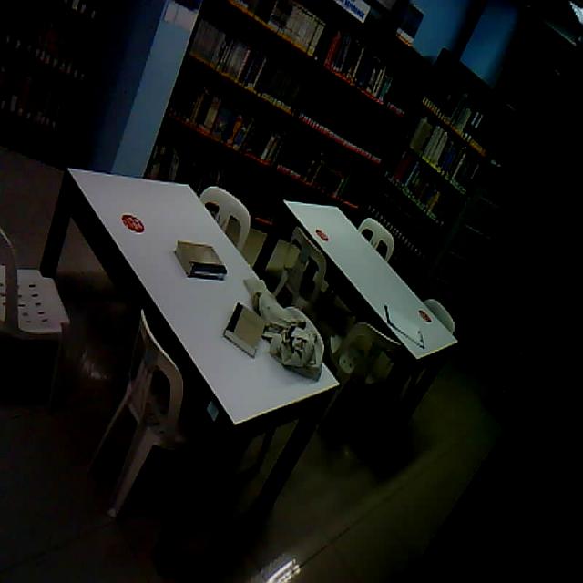 Dataset Image