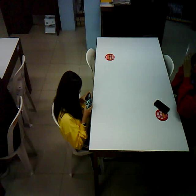 Dataset Image