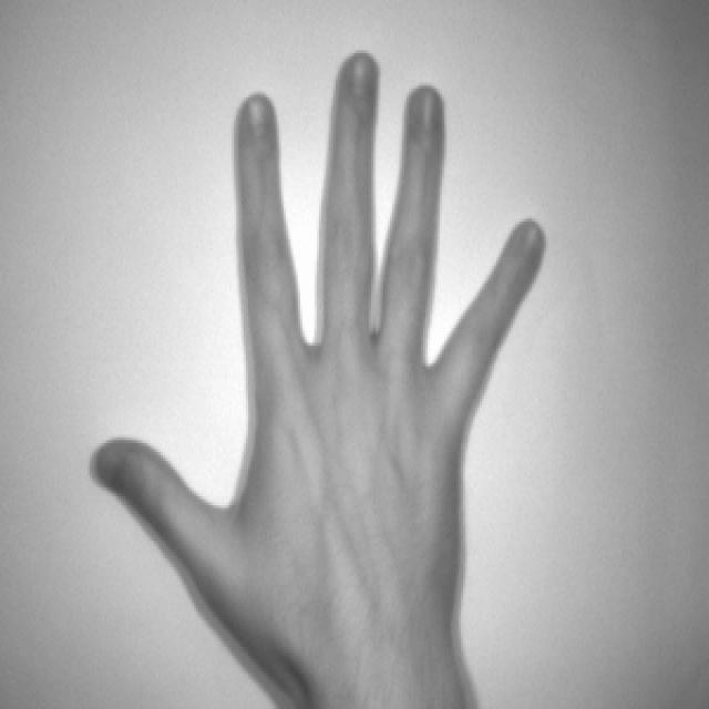 Dataset Image