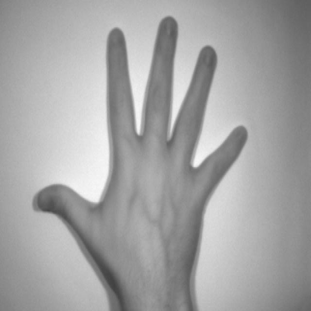 Dataset Image