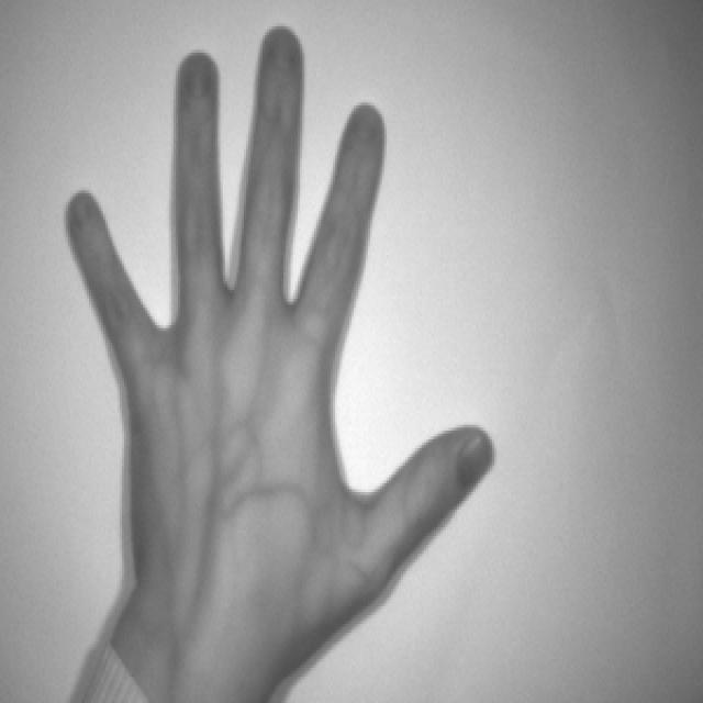 Dataset Image