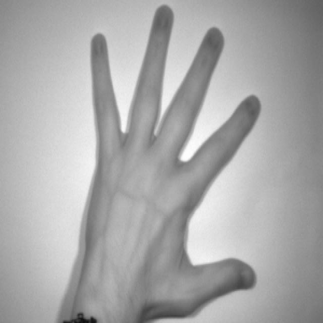 Dataset Image