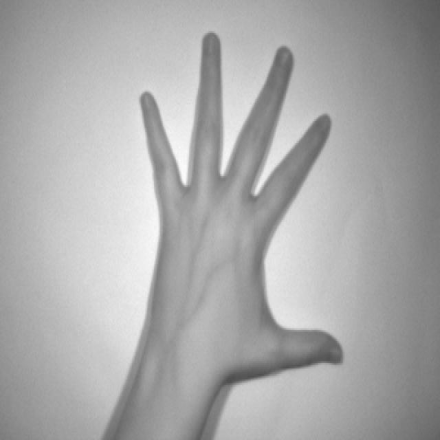Dataset Image