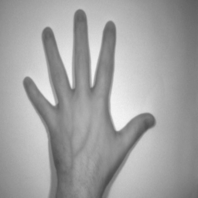 Dataset Image