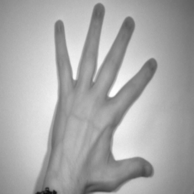 Dataset Image