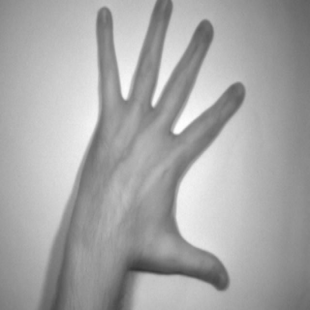 Dataset Image
