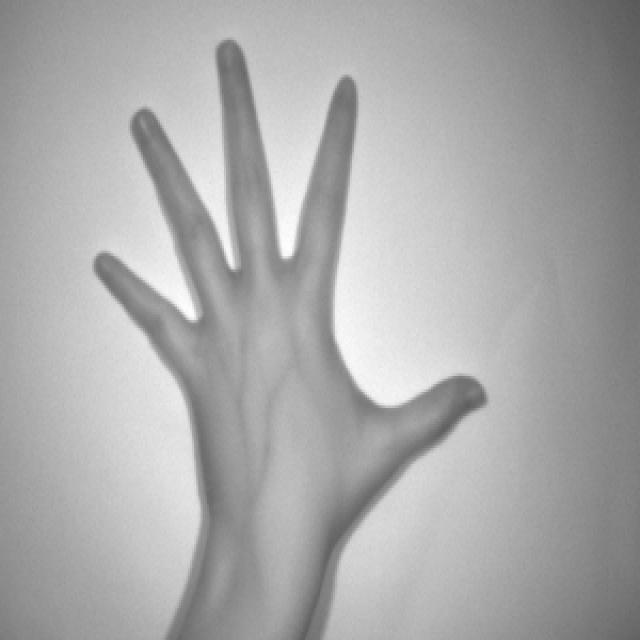 Dataset Image