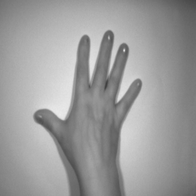 Dataset Image