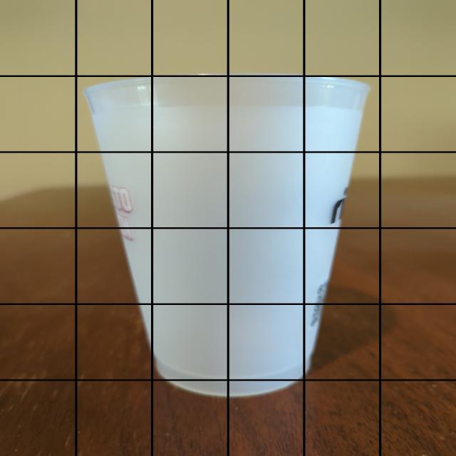 Dataset Image