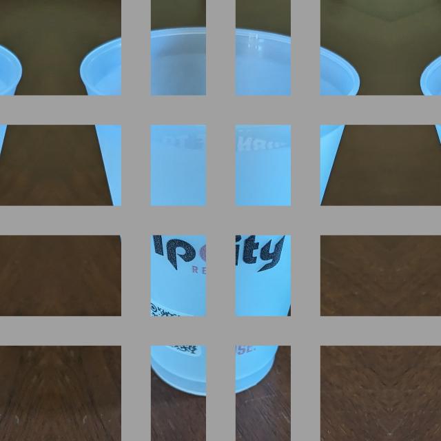 Dataset Image
