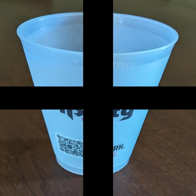 Dataset Image