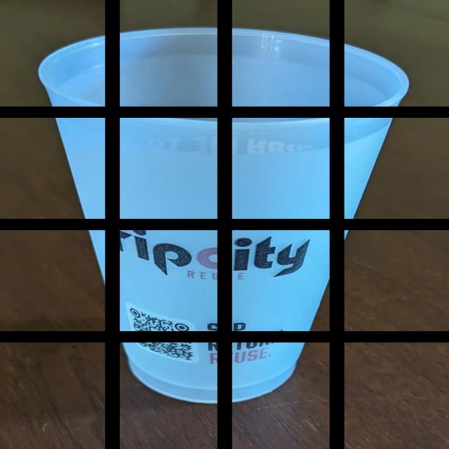 Dataset Image